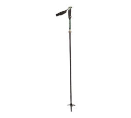 Палки треккинговые Black Diamond 2020-21 Compactor Ski в аренду